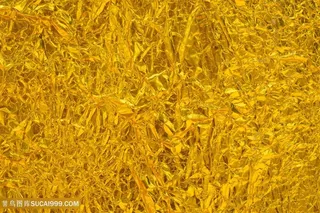 金属材质金色背景