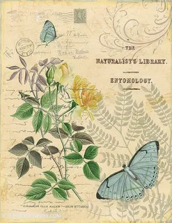 欧式花与蝴蝶装饰画