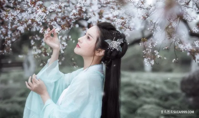 唯美樱花树下的古装白衣清纯美女图片