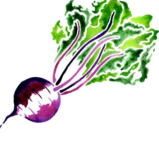 甜菜 PNG免抠(512x512)