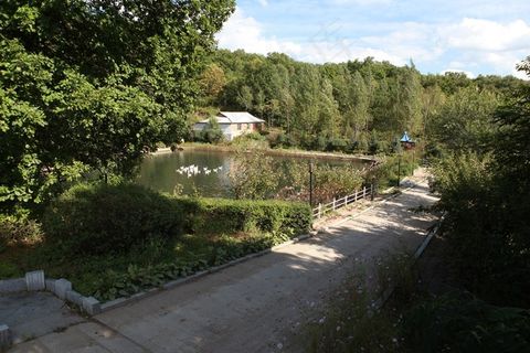 树林内马路旁的水库