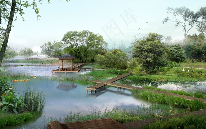 圆林中的小湖
