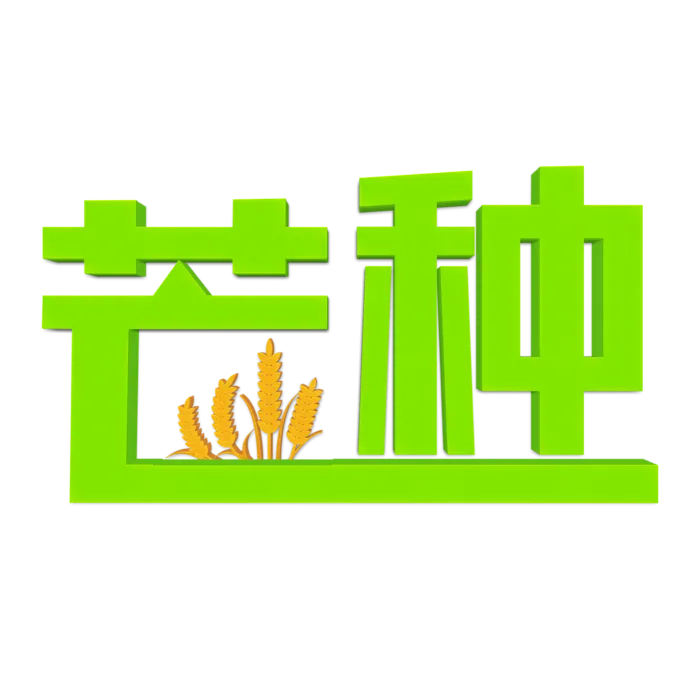 绿色金色二十四节气芒种免扣立体字