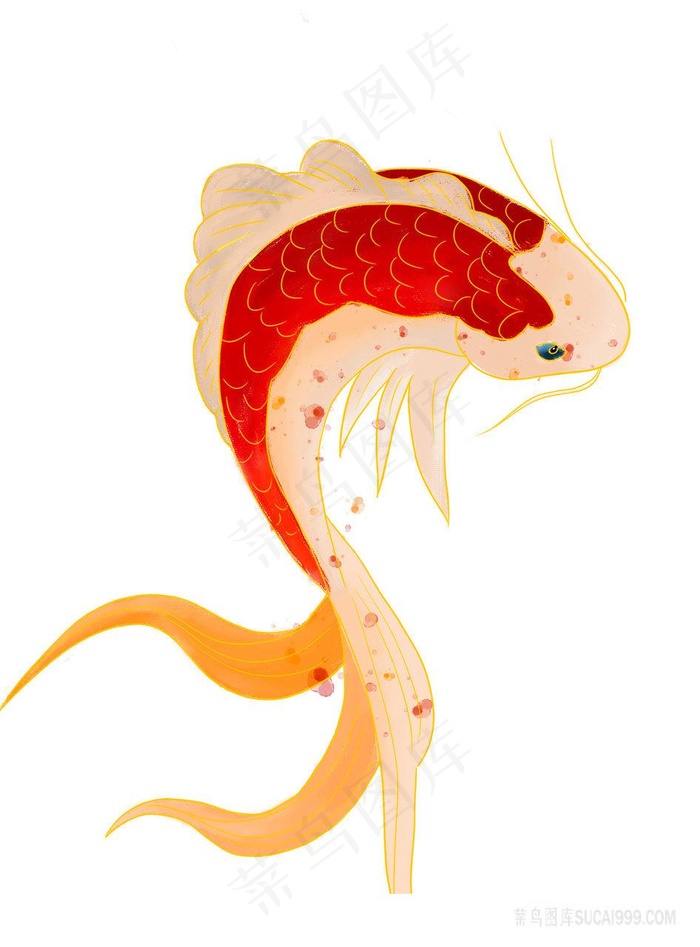 锦鲤png空地手绘素材图片