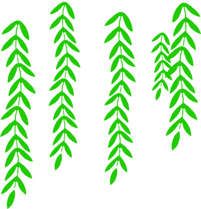 春天绿色春季水墨柳树柳条柳叶春季海报设计PNG免扣素材