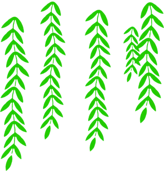 春天绿色春季水墨柳树柳条柳叶春季海报设计PNG免扣素材