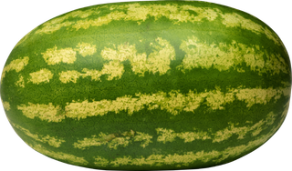 西瓜实物图免抠