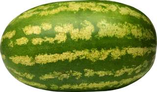 西瓜实物图免抠