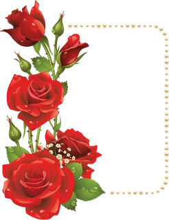 鲜花玫瑰免扣素材