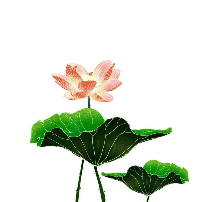 国潮中国风手绘荷花莲花荷叶莲藕植物花卉装饰插画PSD设计素材psd模版下载