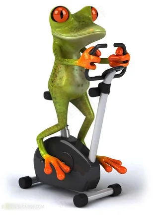 骑车健身的青蛙