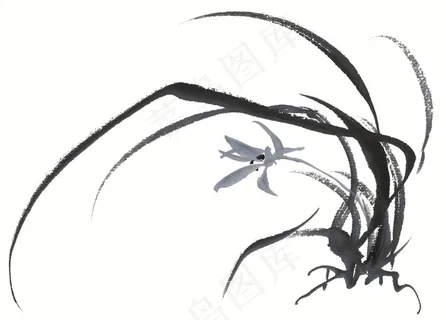 花卉文化艺术美图素材 花卉文化艺术美图素材