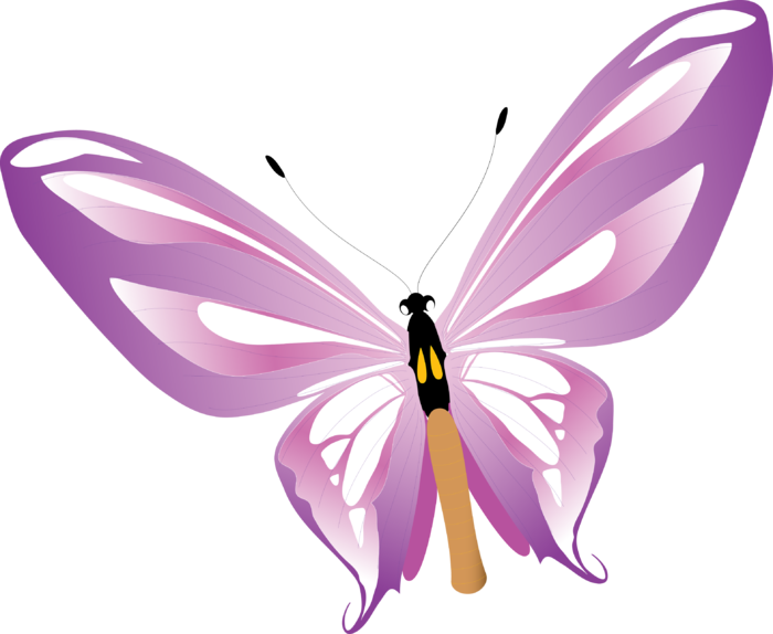 卡通动画动画蝴蝶免扣PNG手绘插画图片素材 (143)