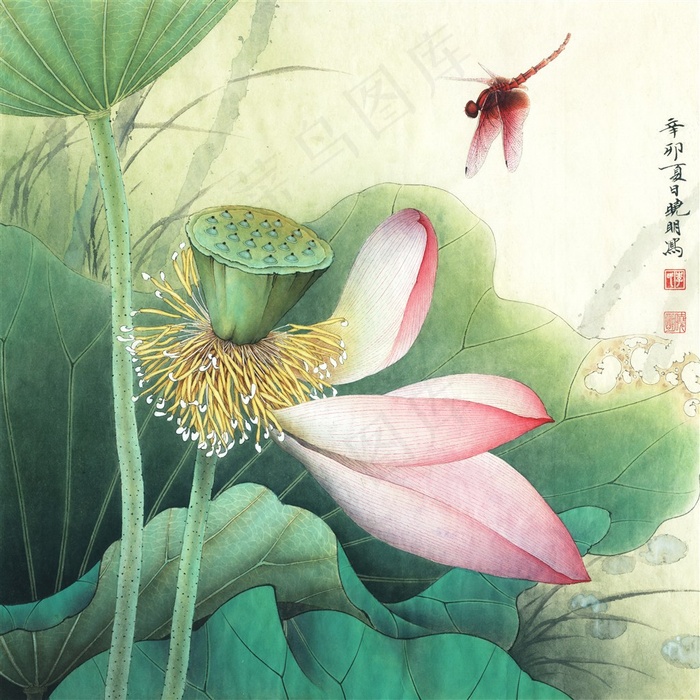 荷花小品工笔画