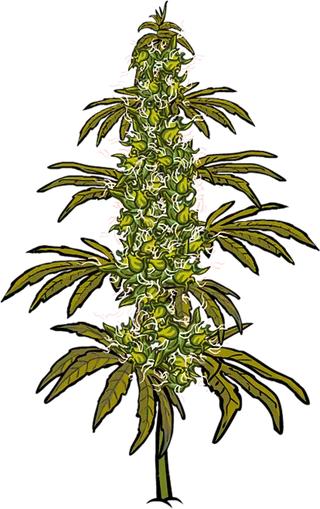 青蒿绿色植物卡通素材