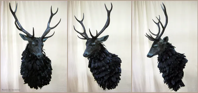 梅花鹿野生鹿动物设计素材