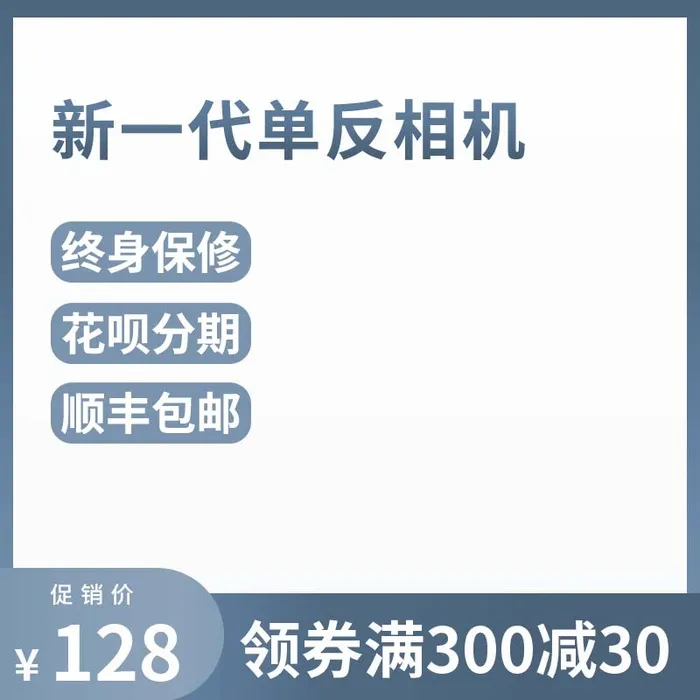 电商主图 网店主图psd模版下载