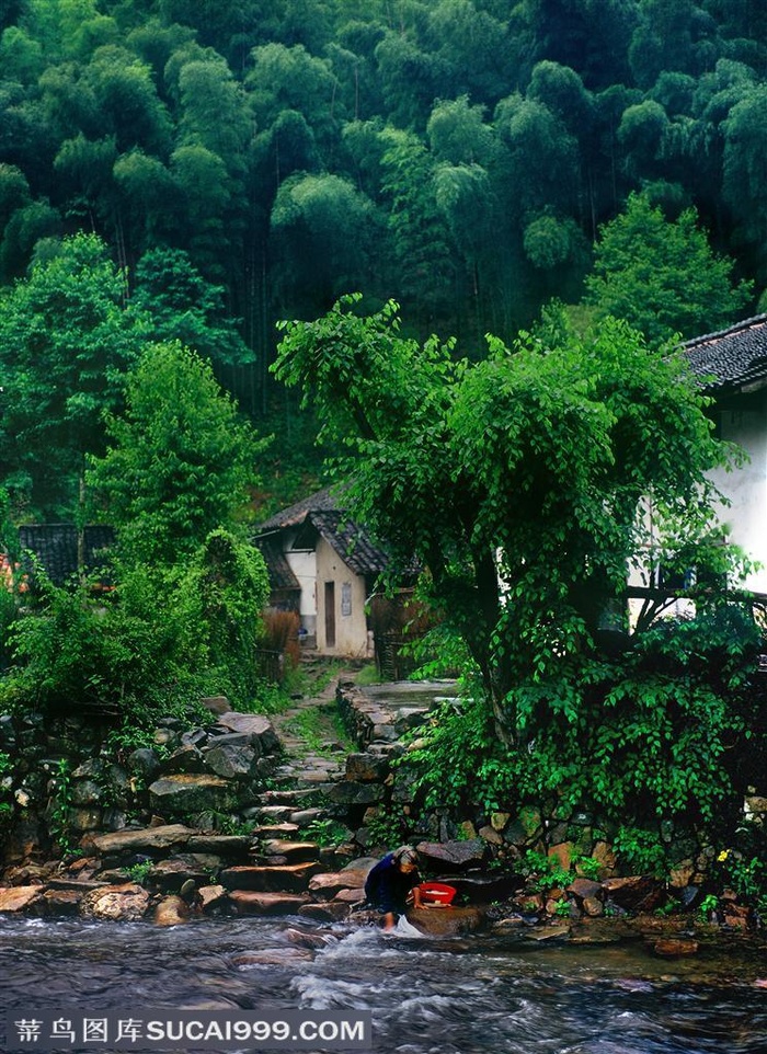 竹林风景- 竹林山脚下的房子和在溪水中洗衣服的老人