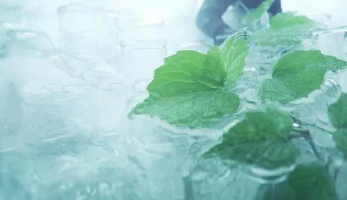 清凉夏日冰块薄荷水背景(1440x832)