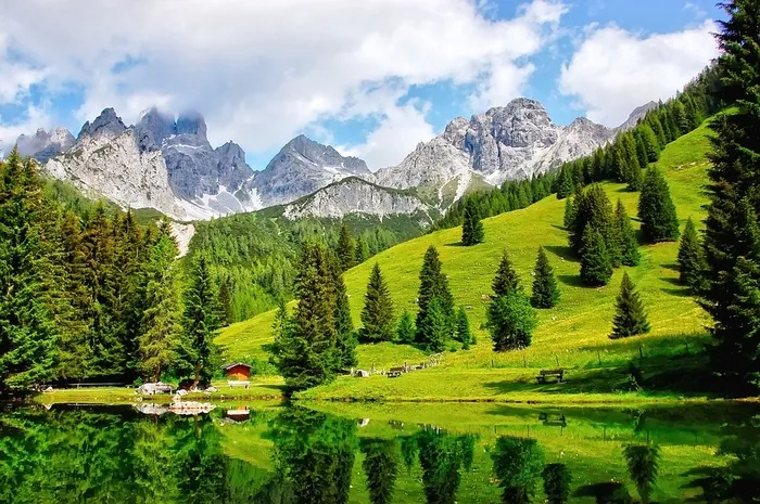 冬天白色背景风景