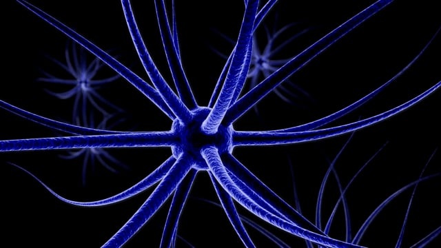 神经元, 脑, 头脑, 心理学, 想法, 主意, 电