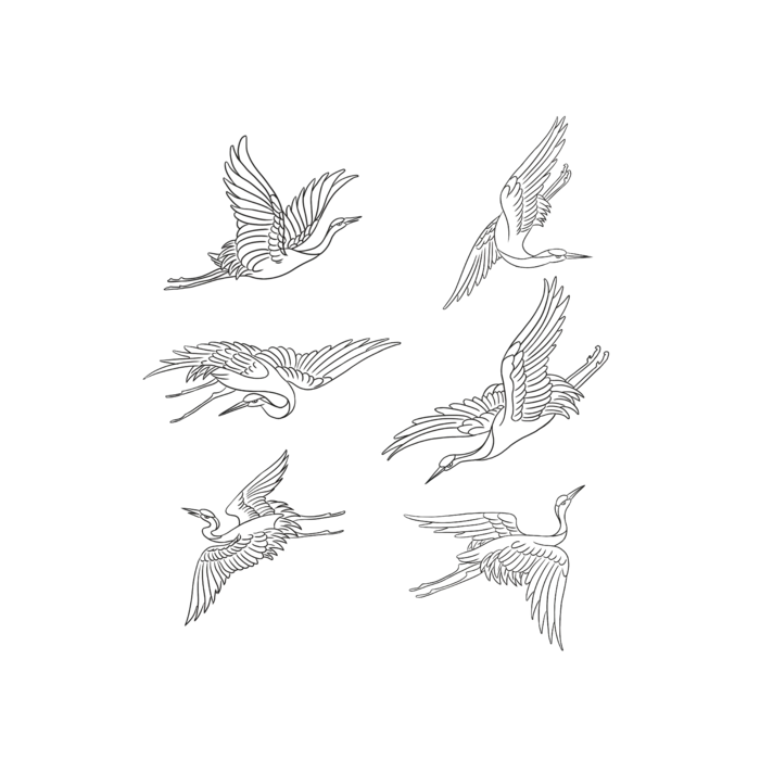 手绘仙鹤简笔画动物飞翔动作白描中国古典古风传统图案重阳节免扣仙鹤