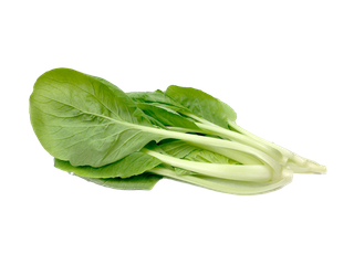 小白菜超市商品白底图免抠实物摄影png格式图片透明底