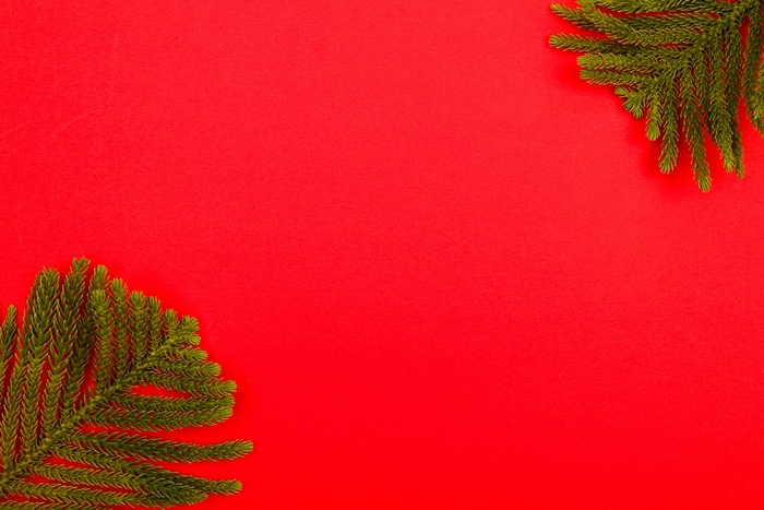 背景, 冷杉枝, 框架, 边境, 装饰, 装饰风格, 圣诞节