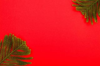 背景, 冷杉枝, 框架, 边境, 装饰, 装饰风格, 圣诞节