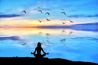 飞鸟和打坐的女子