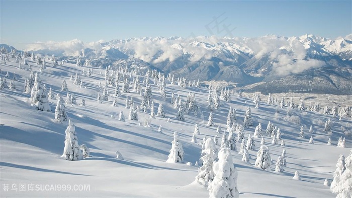 雪景唯美风景画壁纸