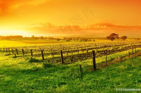 夕阳晚霞唯美田园风景