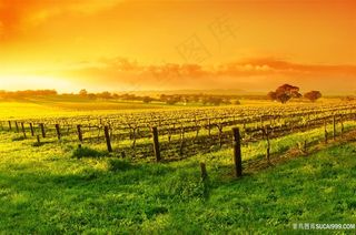 夕阳晚霞唯美田园风景