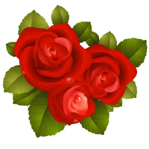 玫瑰 PNG免抠(512x512)
