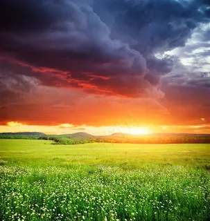夕阳下的绿色草原高清图片 夕阳下的绿色草原高清图片