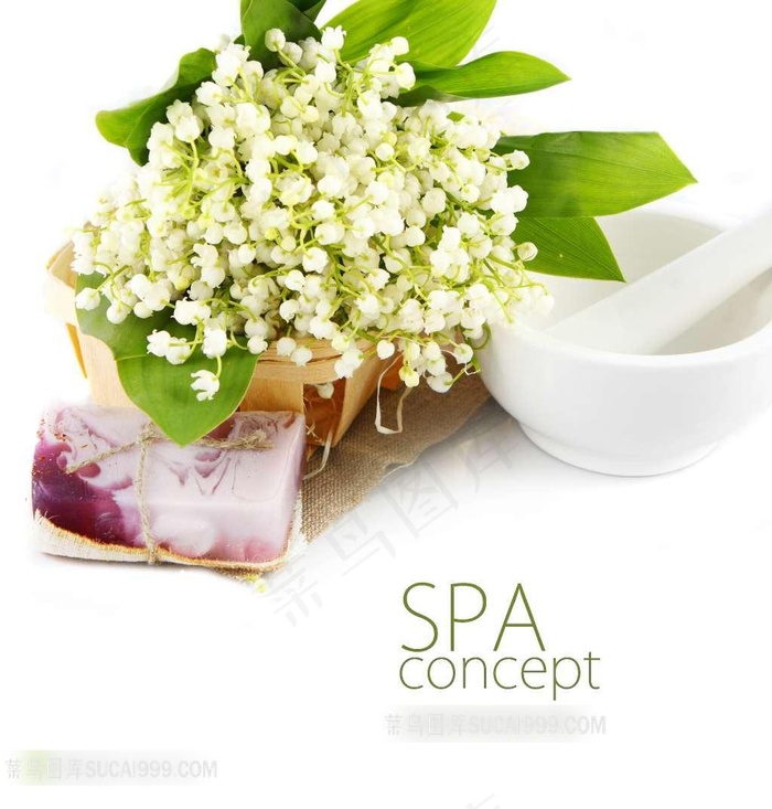SPA花朵素材
