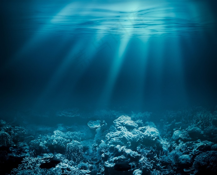 湛蓝的海底世界