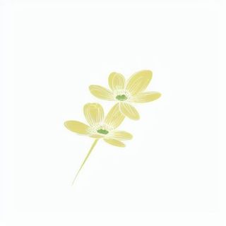 一枝小花png免抠