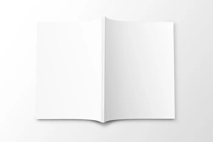 简约画册样机展示效果psd模版下载
