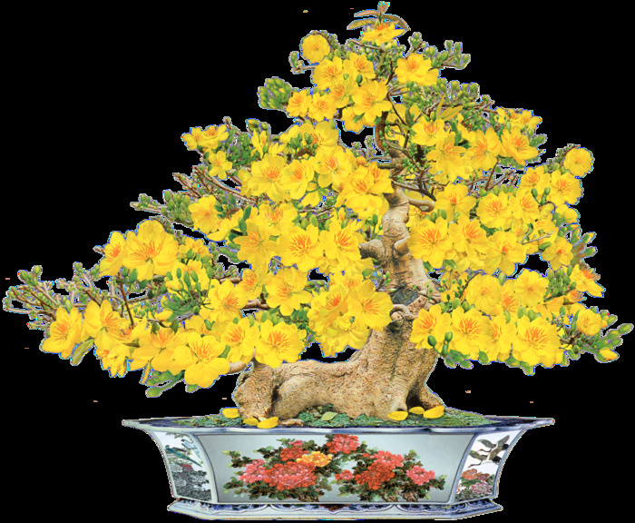 梅花花盆装饰新年背景