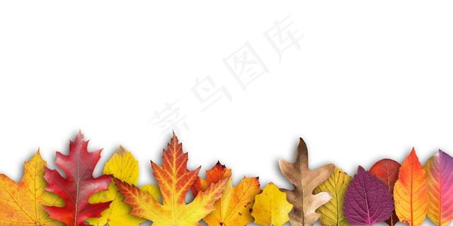 落叶背景图片