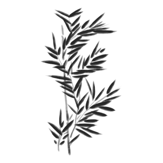 竹子水墨画中国风国画墨水书法竹子画