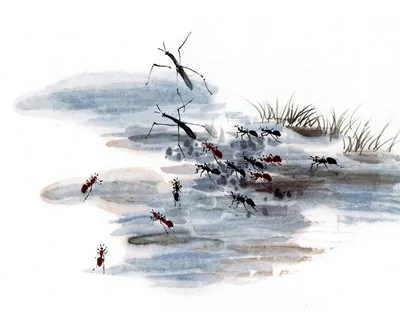 图片素材背景传统文化 图片素材背景传统文化