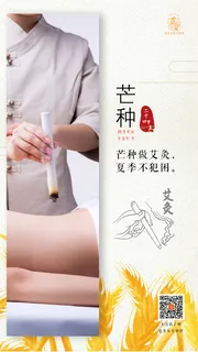 芒种节气海报二十四节气