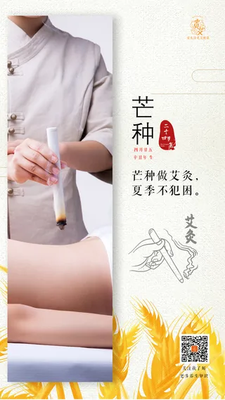 芒种节气海报二十四节气