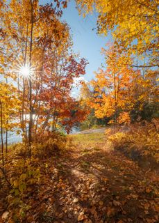 关于秋天的图片