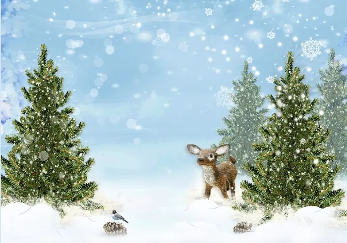 圣诞节花雪蓝天白色背景墙