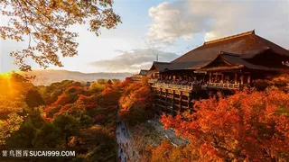 日本城市景色高清图片
