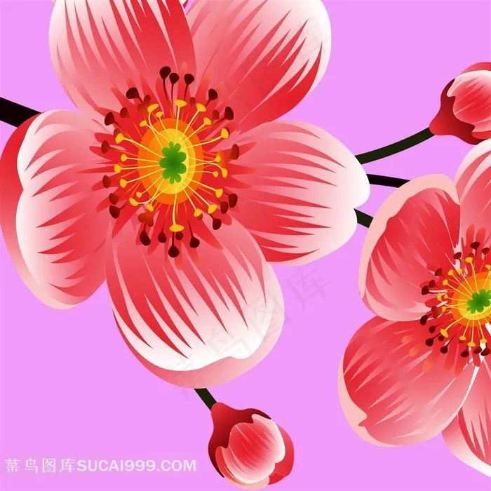 花朵装饰图片素材