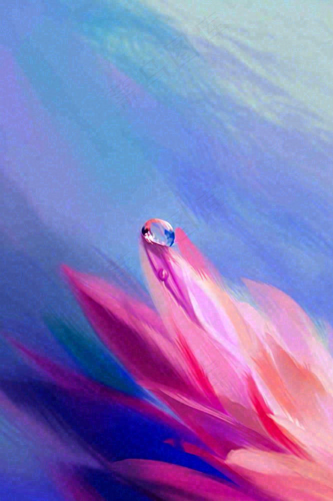 粉蓝渐变鲜花唯美水滴手绘插画(896x1344)